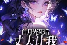 白月光死后,丈夫让我去给她赔罪精彩章节在线免费阅读(姜闪裴熠星)-木头文学
