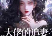 小说大佬的追妻火葬场：晚了，姐不稀罕（姜沁笙纪怀舟）最新章节在哪看-木头文学