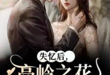 失忆后，高岭之花他又撩又哄无弹窗黎漾裴政臣最新章节列表-木头文学