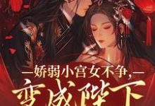 跪求主角是魏容湘谢寅的小说书名叫什么-木头文学
