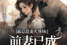 (全文)霸总追妻火葬场:前妻已成人间富贵花秦桑傅霆深全本免费在线阅读-木头文学