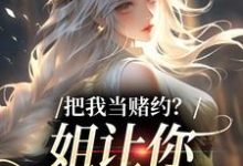 把我当赌约?姐让你跪地求饶完整版小说,把我当赌约?姐让你跪地求饶贺南序周初黎试读更新章节-木头文学