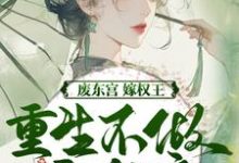 废东宫，嫁权王，重生不做乖女娘最新完结小说废东宫，嫁权王，重生不做乖女娘商子焱苏以卿免费小说-木头文学