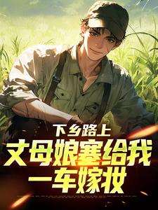 (全文)下乡路上，丈母娘塞给我一车嫁妆林辰宋雨最新完结小说下乡路上，丈母娘塞给我一车嫁妆免费小说全本