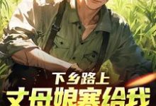 下乡路上，丈母娘塞给我一车嫁妆热门小说排行榜下乡路上，丈母娘塞给我一车嫁妆林辰宋雨免费小说全本-木头文学