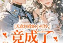无意间救的小可怜，竟成了京都大佬晏离权时泽完结小说推荐，无意间救的小可怜，竟成了京都大佬全章小说阅读-木头文学