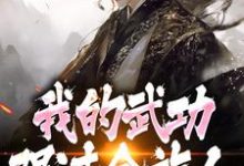 完了！我的武功强过全族人完整版小说，完了！我的武功强过全族人林枫苏清雪试读更新章节-木头文学