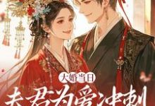 大婚当日,夫君为爱冲刺救白月光最新完结小说大婚当日,夫君为爱冲刺救白月光林菀堂萧睿川免费小说-木头文学