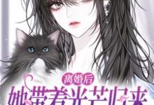 (全文)离婚后她带着光芒归来，总裁悔断肠（江念慕南辞）试读更新章节离婚后她带着光芒归来，总裁悔断肠免费小说-木头文学