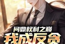 (全文)问鼎权利之巅，我成反贪第一人（林东凡沈君兰）免费小说问鼎权利之巅，我成反贪第一人试读更新章节-木头文学