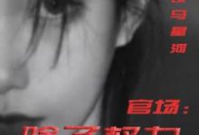 官场：除了权力还有啥完整版小说官场：除了权力还有啥(丁俊丰贺征)全章小说阅读-木头文学