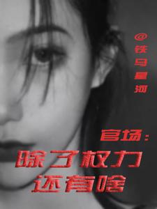 (全文)官场：除了权力还有啥丁俊丰贺征完结小说推荐官场：除了权力还有啥试读更新章节