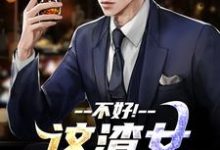 (全文)这渣女要虐死了(顾迟云云晚晚)全本免费在线阅读-木头文学