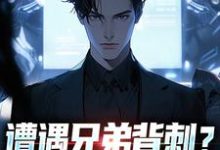 (全文)遭遇兄弟背刺？我直接去偷家（秦东骆小蝶）全本书籍阅读遭遇兄弟背刺？我直接去偷家免费小说全本-木头文学