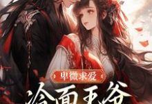(全文)卑微求爱:冷面王爷只为她轻哄苏如卿赫连渊完结小说推荐卑微求爱:冷面王爷只为她轻哄试读更新章节-木头文学
