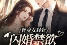 替身女经纪，闪婚禁欲大佬虐渣男黎湘霍斯然试读更新章节替身女经纪，闪婚禁欲大佬虐渣男黎湘霍斯然免费小说-木头文学
