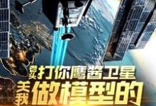 (全文)老头打你鹰酱卫星，关我做模型的什么事秦阳小说推荐，老头打你鹰酱卫星，关我做模型的什么事全章小说阅读-木头文学