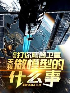 (全文)老头打你鹰酱卫星，关我做模型的什么事秦阳小说推荐，老头打你鹰酱卫星，关我做模型的什么事全章小说阅读