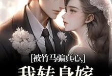 (全文)被竹马骗真心，我转身嫁豪门继承人（沈念希傅斯礼）免费小说被竹马骗真心，我转身嫁豪门继承人试读更新章节-木头文学