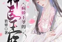 (全文)病娇王爷的神医宠妃萧洛菲李诵全本免费在线阅读-木头文学