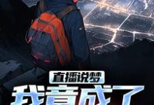 直播说梦，我竟成了预言家（申媛）全本书籍阅读直播说梦，我竟成了预言家完整版小说-木头文学