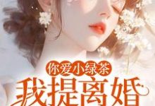 你爱小绿茶，我提离婚你急什么热门小说排行榜你爱小绿茶，我提离婚你急什么陆应淮苏晴好免费小说全本-木头文学