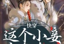快穿：这个小妾有点东西，但是不多（阮娇玉江凌川）全章小说阅读-木头文学