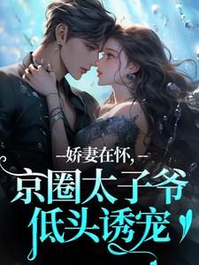 苏渝穆寒昭娇妻在怀，京圈太子爷低头诱宠全本免费在线阅读