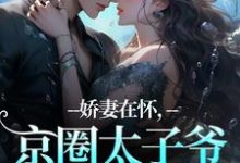 娇妻在怀,京圈太子爷低头诱宠完整版小说娇妻在怀,京圈太子爷低头诱宠(苏渝穆寒昭)全章小说阅读-木头文学