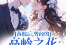 落魄后，曾经的高岭之花求我爱他沈在宜祝陈最新完结小说，落魄后，曾经的高岭之花求我爱他全本免费在线阅读-木头文学