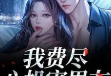 (全文)我费尽心机害男友，他却笑了笑？黎芷傅嘉正全本免费在线阅读-木头文学