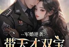 军婚逆袭：带天才双宝找爸去随军（姜宁宁）全章小说阅读-木头文学