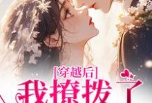 穿越后，我撩拨了那位糙汉（林绾绾傅铮）全章小说阅读-木头文学