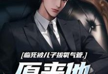 临死被儿子拔氧气管，原来他非亲生推荐完结小说，临死被儿子拔氧气管，原来他非亲生林子阳免费小说全本-木头文学