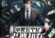 中奖五个亿，老婆却在领奖前提离婚推荐完结小说中奖五个亿，老婆却在领奖前提离婚(陈志)免费小说全本-木头文学