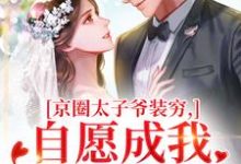(全文)京圈太子爷装穷，自愿成我的金丝雀（秦婕妤殷权）免费小说京圈太子爷装穷，自愿成我的金丝雀试读更新章节-木头文学