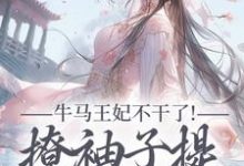 (全文)牛马王妃不干了！撩袖子提和离独美(萧北策云初七)全本免费在线阅读-木头文学