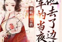 (全文)被赐婚常胜将军的当夜,他去了边关(青妩燕昭)免费小说被赐婚常胜将军的当夜,他去了边关试读更新章节-木头文学