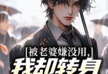 (全文)被老婆嫌没用，我却转身成了首富！唐仁林紫嫣最新完结小说被老婆嫌没用，我却转身成了首富！免费阅读-木头文学
