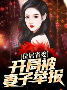 位居省委，开局被妻子举报最新完结小说位居省委，开局被妻子举报苏玉黎锦免费小说