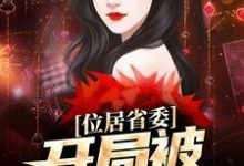 (全文)位居省委，开局被妻子举报苏玉黎锦最新完结小说位居省委，开局被妻子举报免费小说全本-木头文学