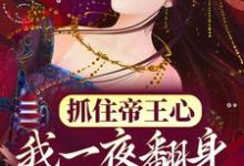 (全文)抓住帝王心，我一夜翻身成宠妃热门小说排行榜，抓住帝王心，我一夜翻身成宠妃萧煜沈芙全章小说阅读-木头文学