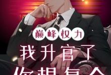 巅峰权力：我升官了你想复合推荐完结小说，巅峰权力：我升官了你想复合林磊免费小说全本-木头文学