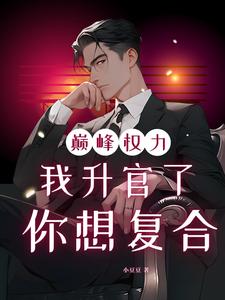 巅峰权力：我升官了你想复合最新完结小说巅峰权力：我升官了你想复合林磊免费小说