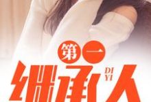 第一继承人完整版小说，第一继承人徐飞试读更新章节-木头文学