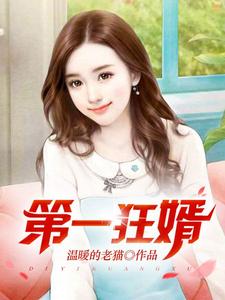 (全文)第一狂婿林枫全本免费在线阅读