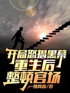 开局怒揭黑幕，重生后整顿官场最新章节阅读开局怒揭黑幕，重生后整顿官场(陈知行)试读更新章节