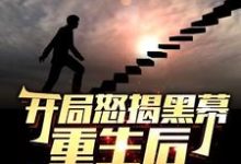 (全文)开局怒揭黑幕,重生后整顿官场(陈知行)全本免费在线阅读-木头文学