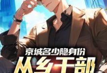京城名少隐身份,从乡干部开始逆袭谢斌裴靖泽免费小说京城名少隐身份,从乡干部开始逆袭推荐完结小说-木头文学
