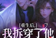 重生后，我拆穿了他换娃的把戏（盛南汐秦渡）全本书籍阅读重生后，我拆穿了他换娃的把戏完整版小说-木头文学